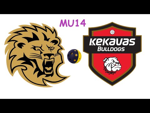 Florbols meitenes U14. Rīgas Lauvas - Ķekavas Bulldogs. Rīgā, 19.04.2023.