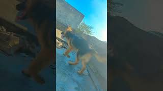 Download lagu hum hai seedhe sadhe Akshay | khiladiyon ka Khiladi | Kumar Sanu | Sadhana Sargam | Anu Malik, Song mp3