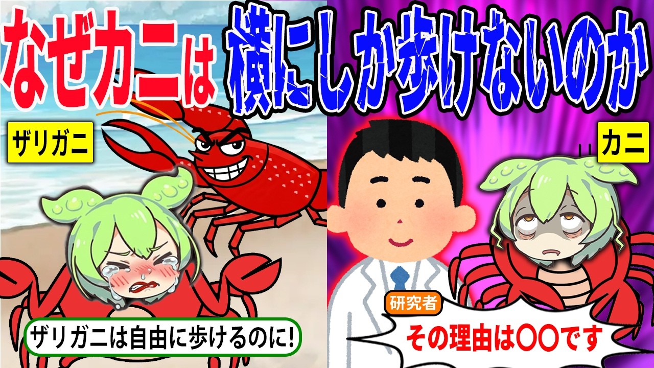 カニはなぜ横向きにしか歩けないのか徹底解説【ずんだもん＆ゆっくり解説】