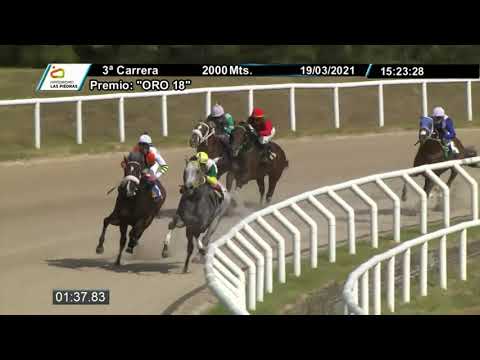 210319 c03 - PREFERENCIAL "ORO 18" - GOLPAZO (BRZ) - HIPODROMO LAS PIEDRAS