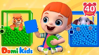 開鎖救動物🦁🔓｜幫助小動物脫困大作戰！｜拯救小動物大行動｜寶貝來幫忙！｜寶貝多米