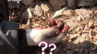 Download lagu 순간 포착 세상에 이런 일이_638회_06 mp3