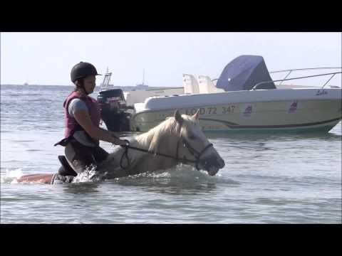 Aquaponey du 13/06/2015