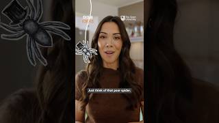 Spider + caffeine = ? | BBC Ideas