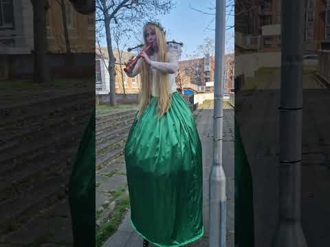 Fairy recorder music