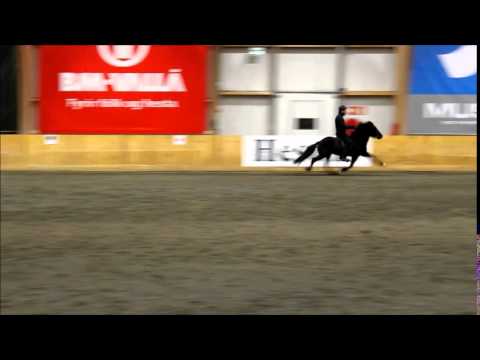 Júdit frá Fornhaga II - skeiðsprettur - Sprettshöllin sept 2015