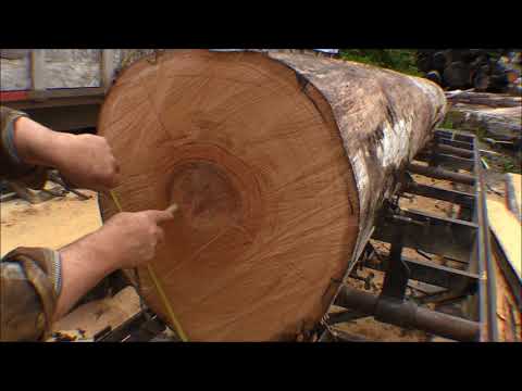 Mighty Mite Band Saw Milling Yellow Cedar 2X6s  Problem Log