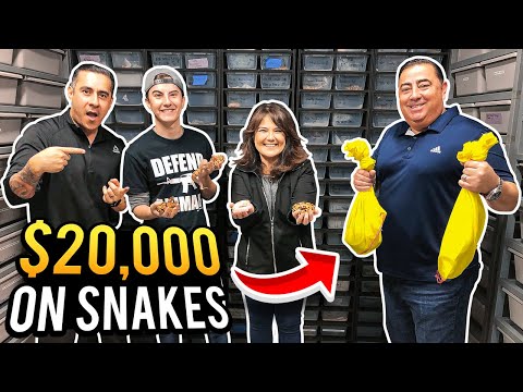 DAD Buys Son 20K IN SNAKES