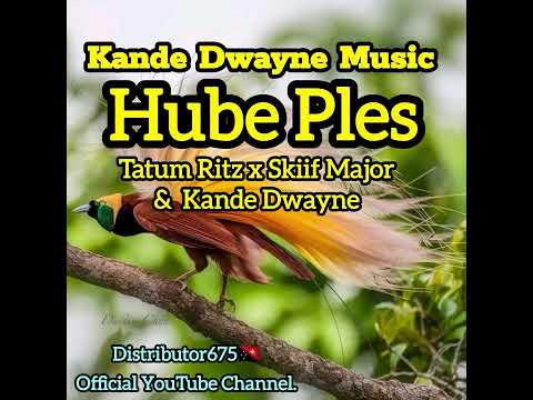 Hube Ples_-_Tatum Ritz x Skiif Major & Kande Dwayne @Kande_Dwayne_Muzic_Official 