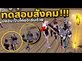 ฟีฟาย