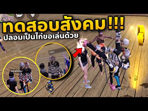 ฟีฟาย