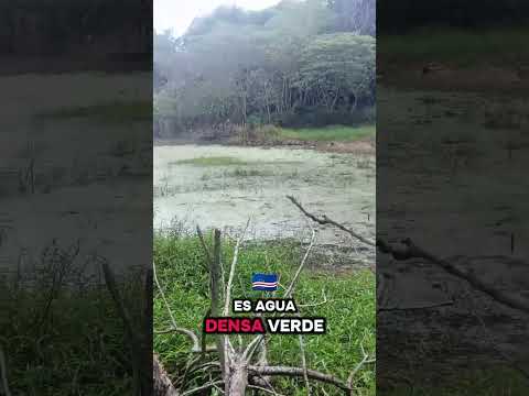 Esteros en Loreto Corrientes