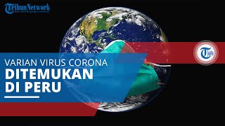 Lambda (C.37) , Varian Virus Corona Pertama Kali Diidentifikasi di Peru pada Agustus 2020