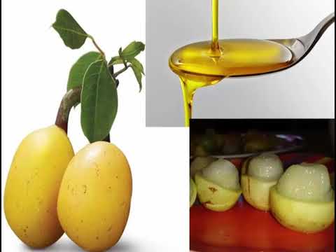 download lagu mp3 mp4 Health Benefits Of Marula Oil, download lagu Health Benefits Of Marula Oil gratis, unduh video klip Health Benefits Of Marula Oil