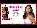 Mere Dil Pe Kisine Best Audio Song Gunaah Bipasha Basu Kumar Sanu Alka Yagnik