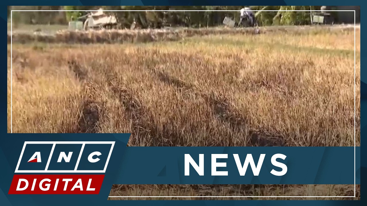 Climate Change Commission urges Filipinos to prepare now for strong El Niño | ANC