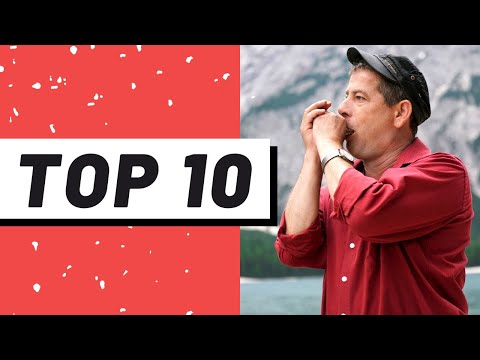 Die besten 10 Songs vom Mann mit der Mundharmonika: Michael Hirte 😍