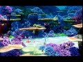 Finding Nemo Ending VHS Disc 1