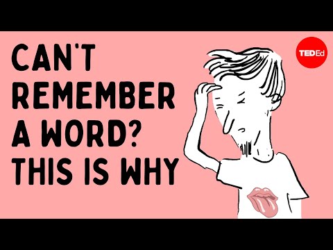 This is what happens in your brain when you can’t recall a word - Cella Wright