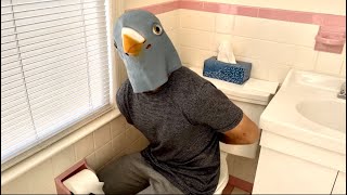 buying a pet off craigslist