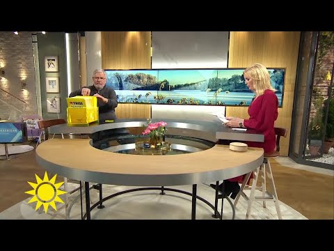 Dagens trissvinnare tänker sätta guldkant på tillvaron - Nyhetsmorgon (TV4)
