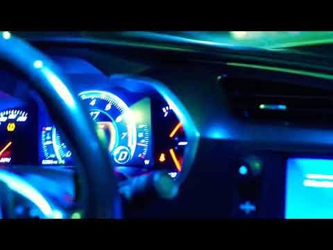 NHP Poncho - Official Daily Video