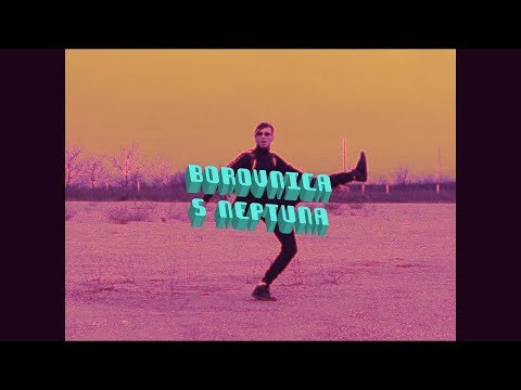 UKIYO ARKESTRA - BOROVNICA S NEPTUNA