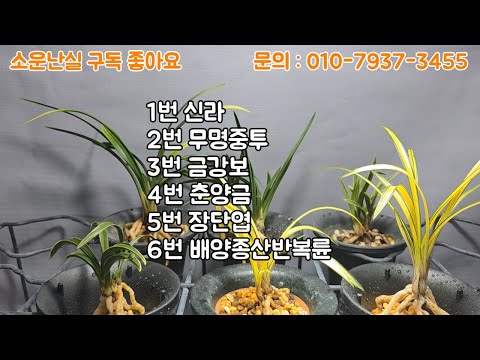 유튜브 썸네일