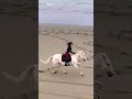 Horses Lovers Riding Horses Ll WhatsApp Status