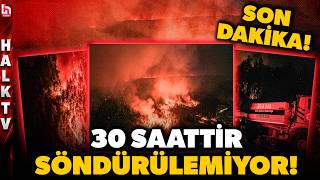 YANGININ BİLANÇOSU BÜYÜYOR! Antalya'da alevler yerleşim yerlerine yakl