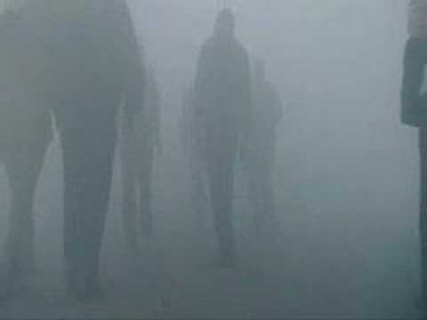 The Mist - music video