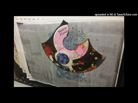 Space Picnic - We are all the same