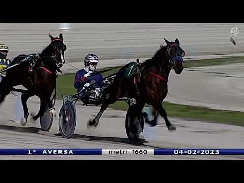 Aversa trotto 4 Febbraio 2023 - 1° Corsa