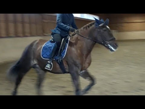 HeB K.N. Special 58%