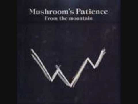 Mushroom's Patience - Hostaria Disco Dance