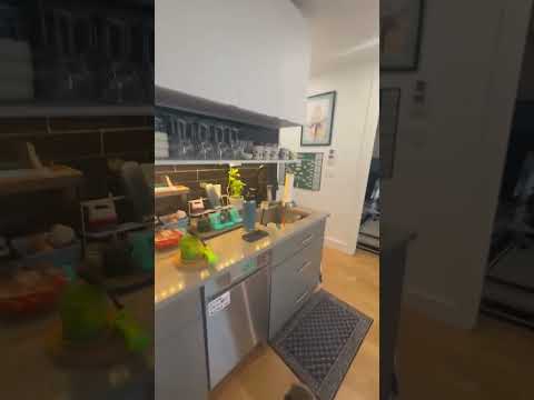 video 1