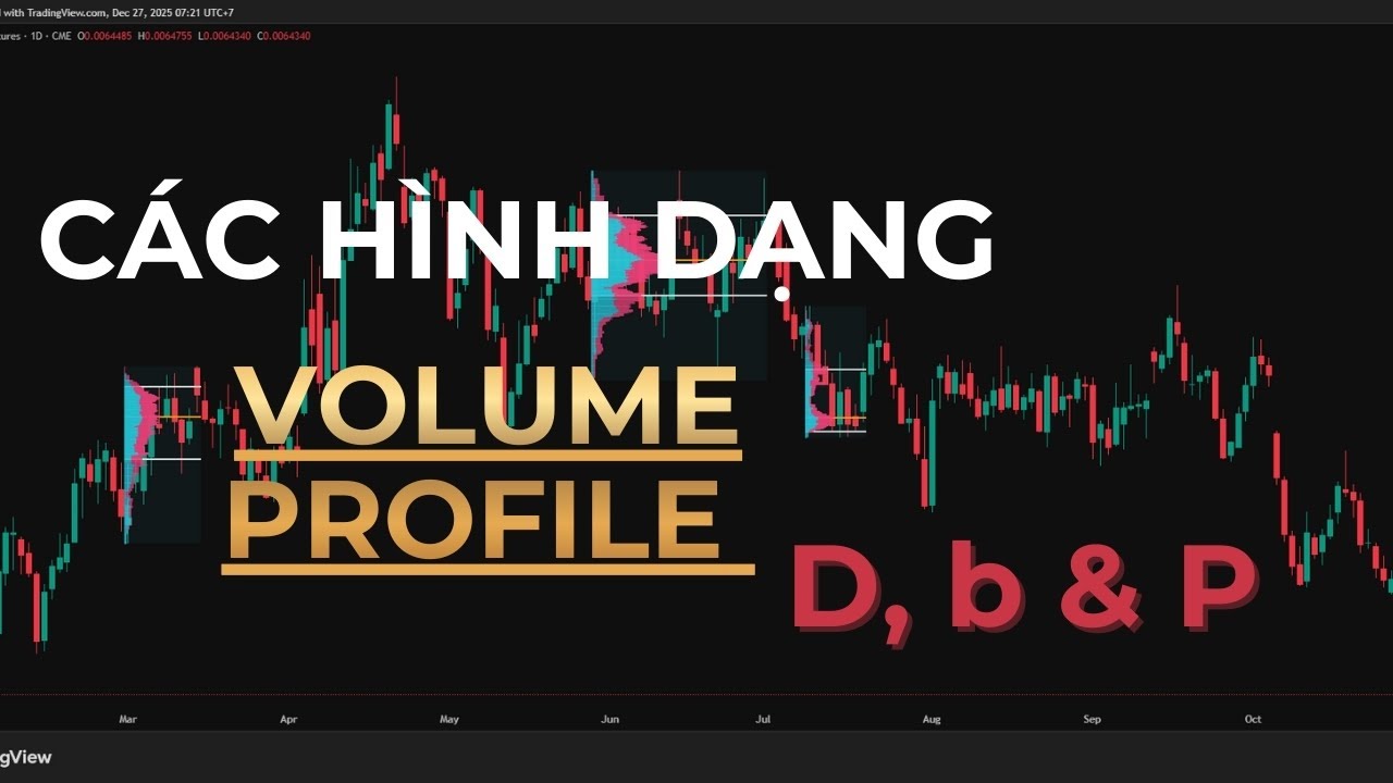 Bài 6: Bí Mật Đằng Sau Các Hình Dạng Volume Profile & Ứng Dụng