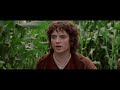 LOTR But Every Time Sam Takes A Step He Keeps Reminding Himself Of Going Farther From Home MEME