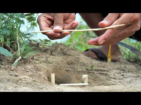 EASY SNAKE TRAP - Best Creative Method DIY Snake Trap Make From Sickle (Work 100%)