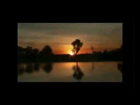 Water and Waves music clip by Sven Libaek from Vince Serventy Tribute Nature Walkabout