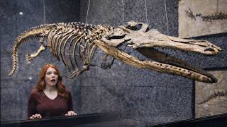 8 Fosseis de Animais Pré-Históricos Que Desafiam a Lógica