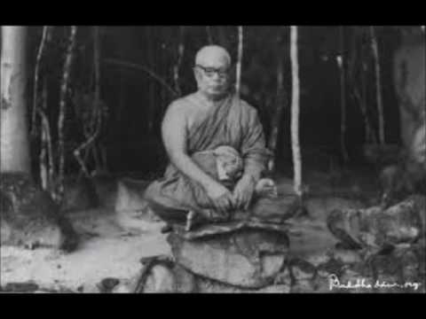 Buddhadasa, Anapanasati, and the Eightfold Noble Path | Steve #1 | 2.16.17