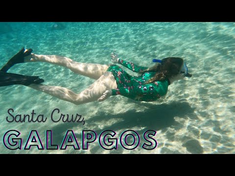 2 Months in Galapagos! Part 1: Santa Cruz