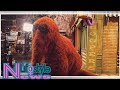 Behold The Freakiest Moment In Sesame Street History