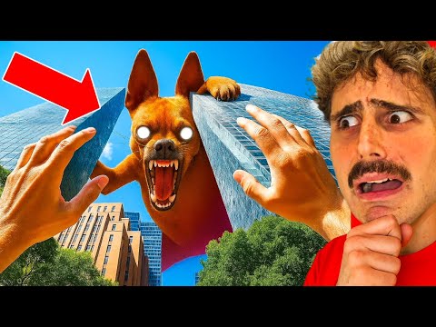 IF YOU SEE THIS GIANT DOG…RUN AWAY! 😱