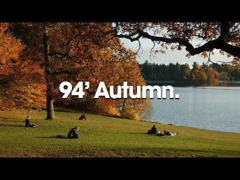 𝙄𝙩'𝙨 𝟭𝟵𝟵𝟰 𝙖𝙣𝙙 𝙩𝙝𝙚 𝙛𝙞𝙧𝙨𝙩 𝙗𝙧𝙚𝙚𝙯𝙚 𝙤𝙛 𝙖𝙪𝙩𝙪𝙢𝙣 𝙛𝙞𝙣𝙙𝙨 𝙮𝙤𝙪 // nostalgic vaporwave ~ calm ambient mix