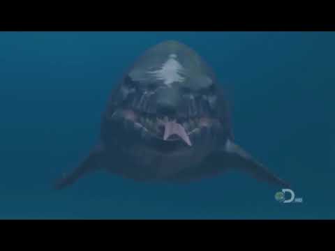 T-Rex of the Deep - Mosasaur Documentary