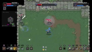 Wizard of Legend