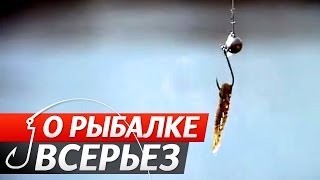 Наша рыбалка ловля плотвы и густеры