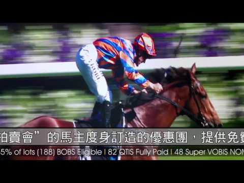 MJC - 2016 magic millions 澳洲神奇百萬黃金海岸"已受訓兩歲馬匹拍賣會"